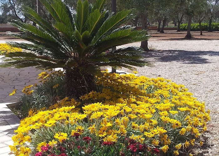 Bed & Breakfast Otranto Le Sancinare 3*